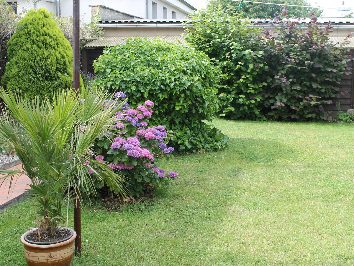 Apartment Rerik With Fenced Garden מראה חיצוני תמונה